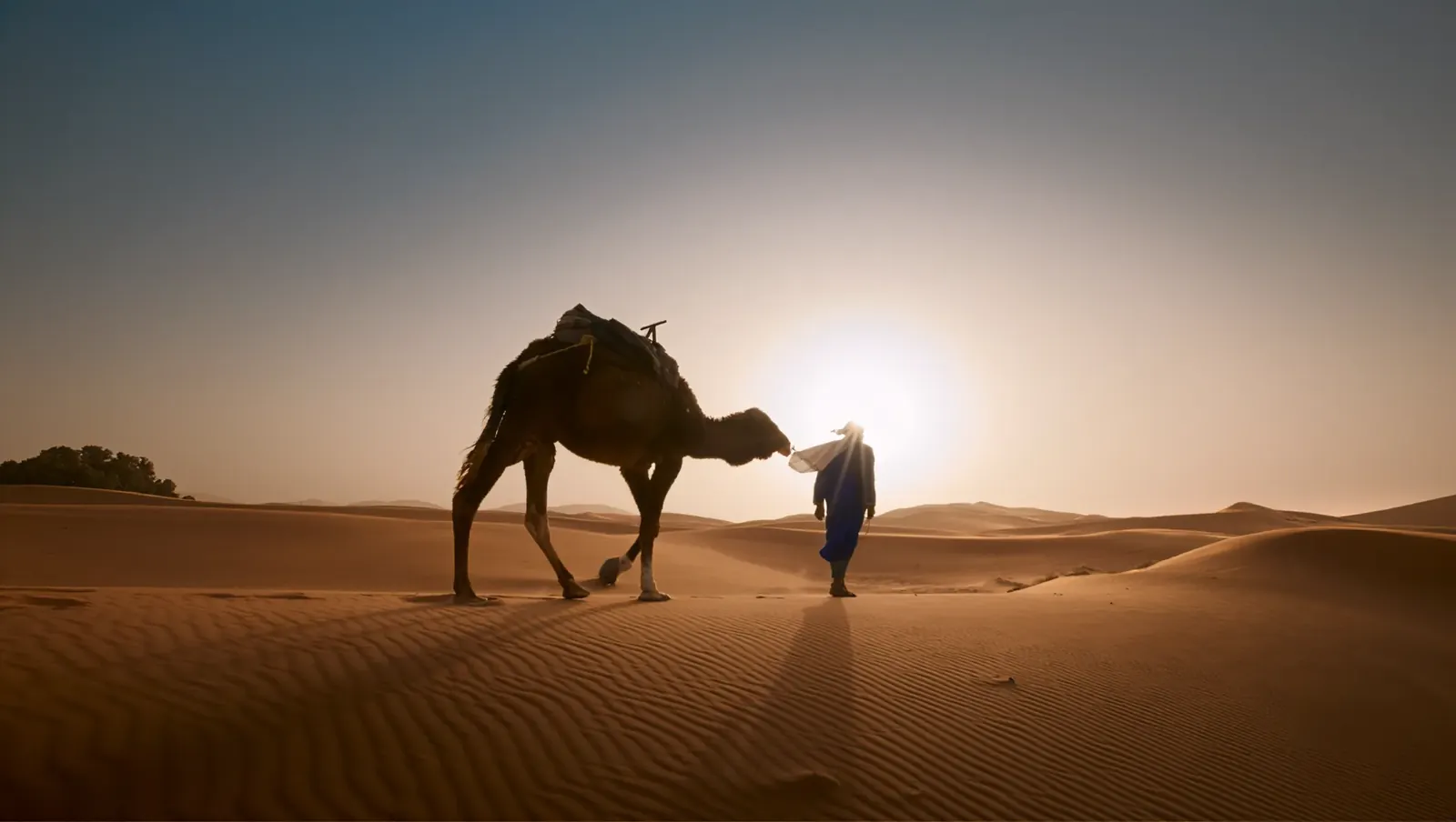 Camel trek in the Merzouga desert