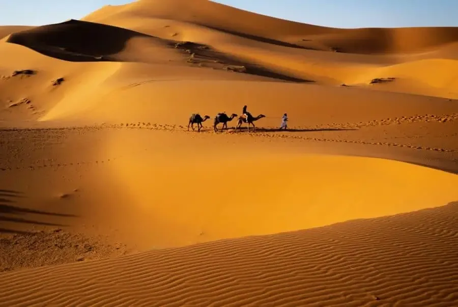 Camel Caravan with Berber Guide