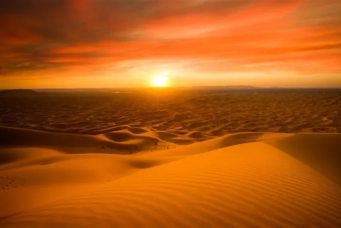 Sahara Dunes at Sunset