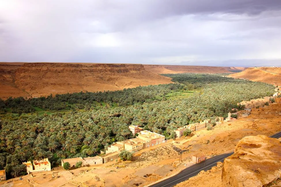 Ziz Valley Palm Oasis